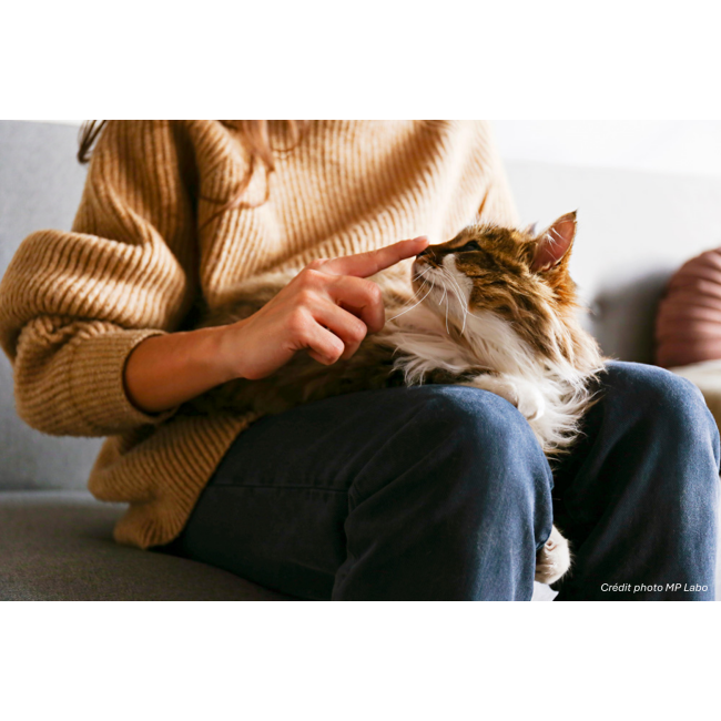 MP Labo Montmorillonite Poudre - Digestion - Chien Et Chat