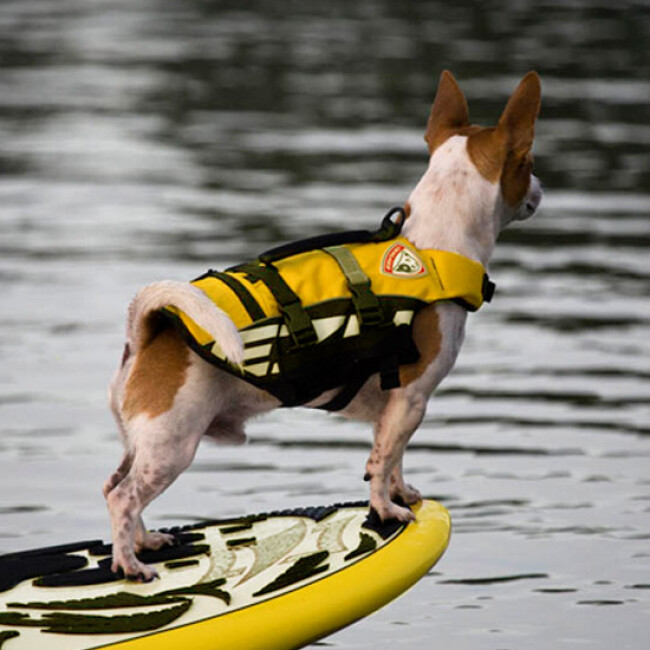 Gilet De Sauvetage Adulte En Néoprène - Flottabilité Optimale - Pour Plongée, Kayak, Sports Nautiques - Taille XL (75-100 Kg)