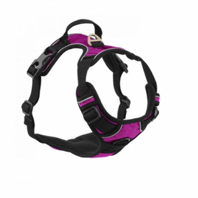 Harnais Kn'1 Active Drive multifonctions pour chien Taille S Coloris Violet