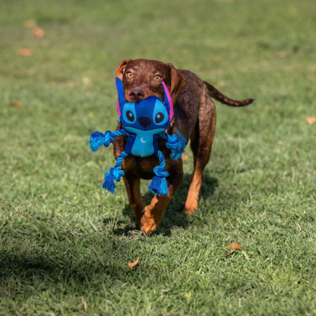 Jouet à Mâcher pour Chien — Corde Stitch main image 0