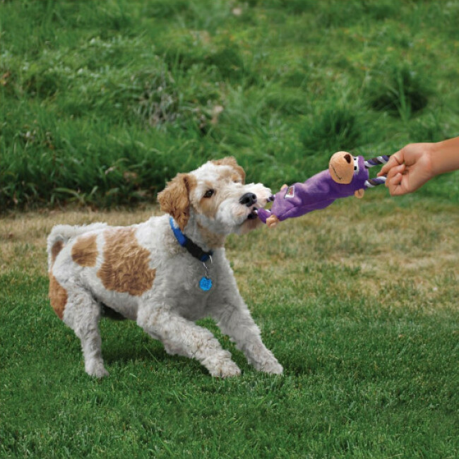 Jouet Pour Chien FRENCH BANDIT En Forme De Saucisson - Peluche Avec Corde Et Couineur, Sécurité Pour Mastication, Design Français