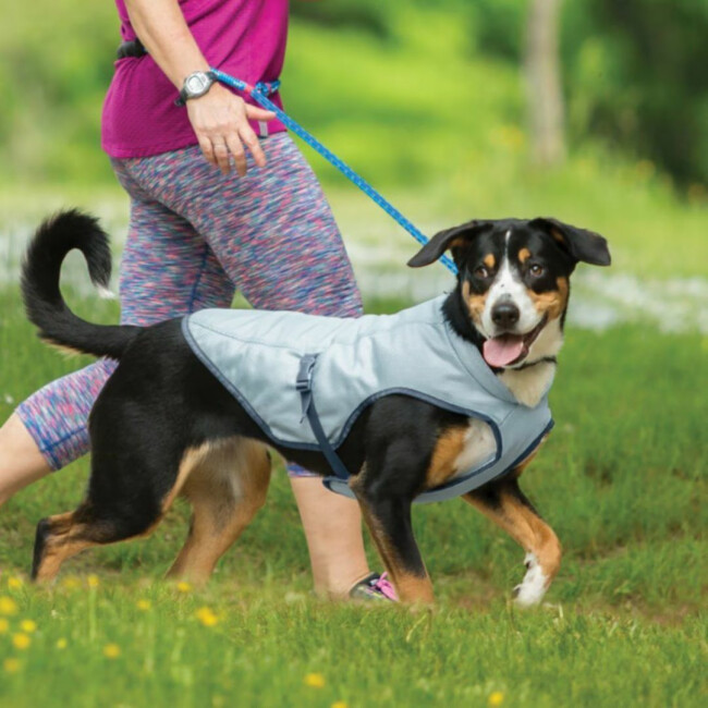 Gilet de Refroidissement - Non spécifié - XL - Respirant - Réfléchissant - Ajustable