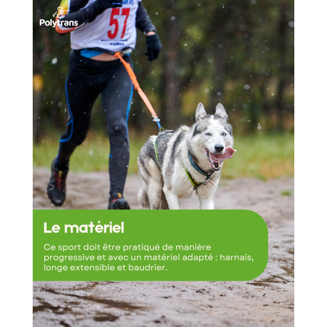 Laisse Mains Libres Pour Chien Avec Ceinture Réglable Et Plusieurs Pochettes,pour Courir Marcher Randonnée Entraînement