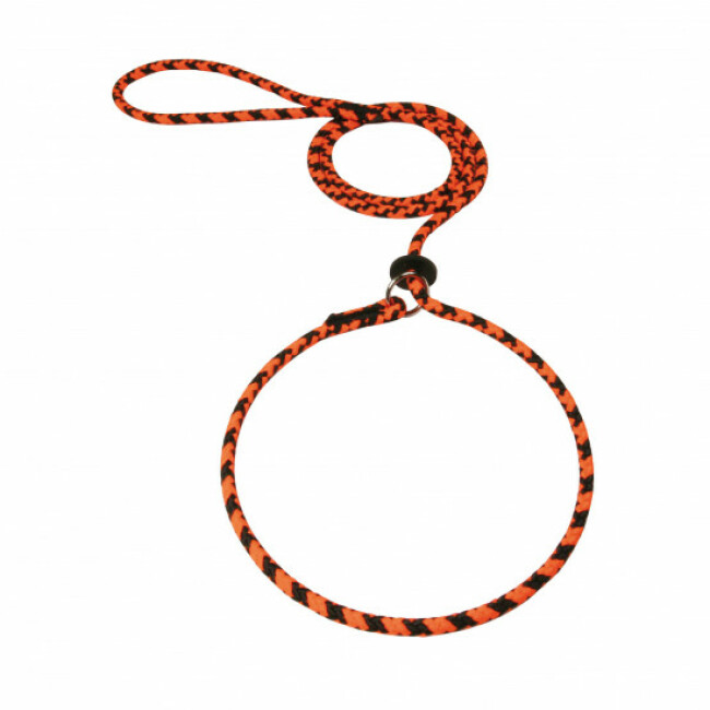 Laisse lasso ronde en corde tressée bicolore - 1,5 m Coloris Noir/Orange