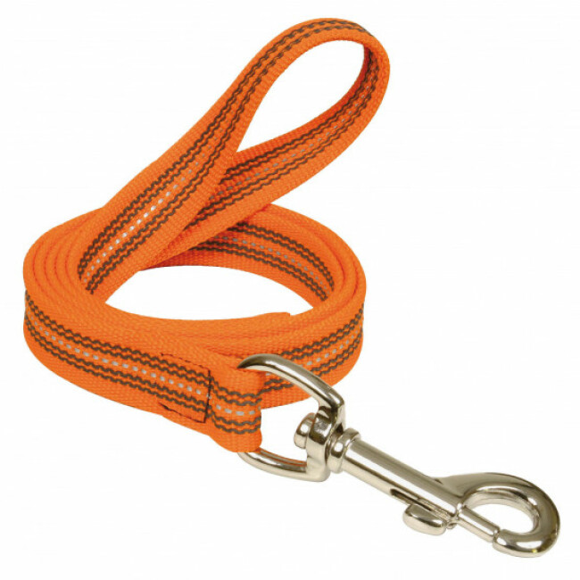 Laisse réfléchissante souple et résistante avec poignée - 2 m Coloris Orange