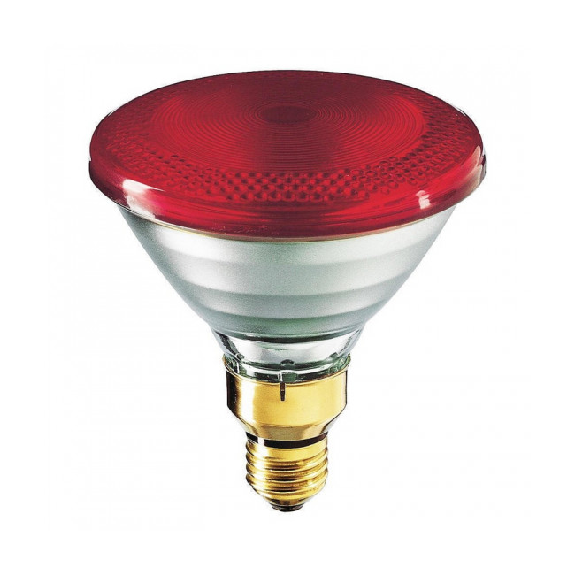 Lampe chauffante Philips à infrarouge pour animaux