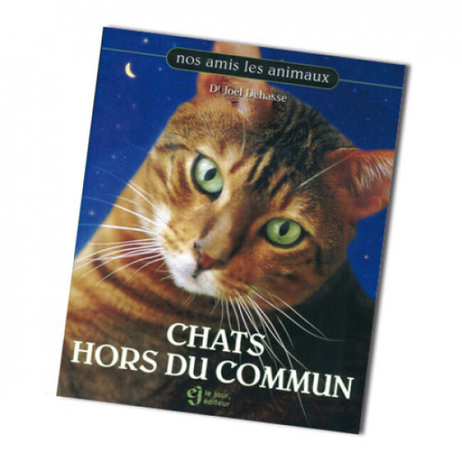 Comprendre Le Chat