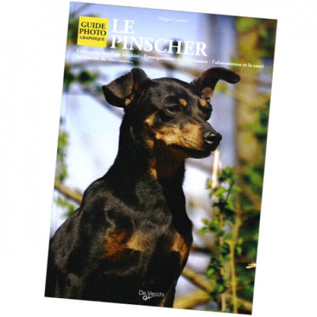 Livre Bien Tailler Une Pipe Guide Complet