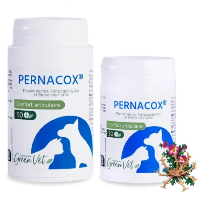 Pernacox confort articulaire pour chien et chat
