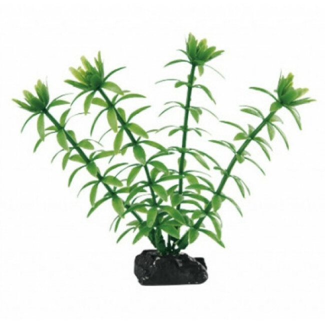 Plante en plastique pour aquarium Ferplast Egeria