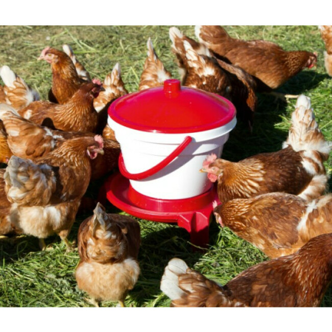 Abreuvoir Volaille 15L Plastique Semi-Transparent Avec Poignée - Bol Ecuelle Seau Pour Poules Canards Oies