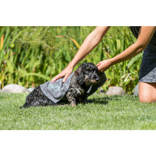 Serviettes Pour Chien - Lot De 3 - Microfibre Extra Absorbante - Séchage Rapide - 100x50 Cm - Gris