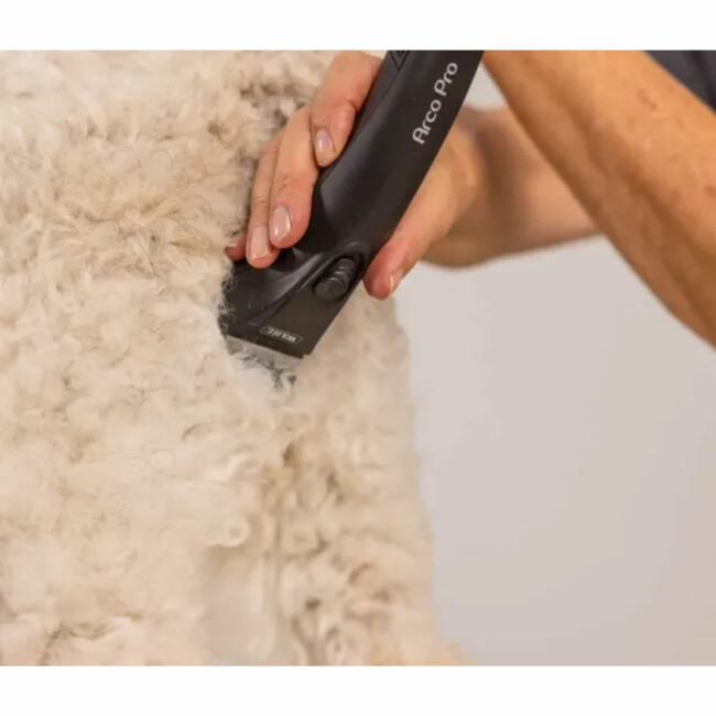 Tondeuse équine Wahl Moser Arco Equine – Neuf
