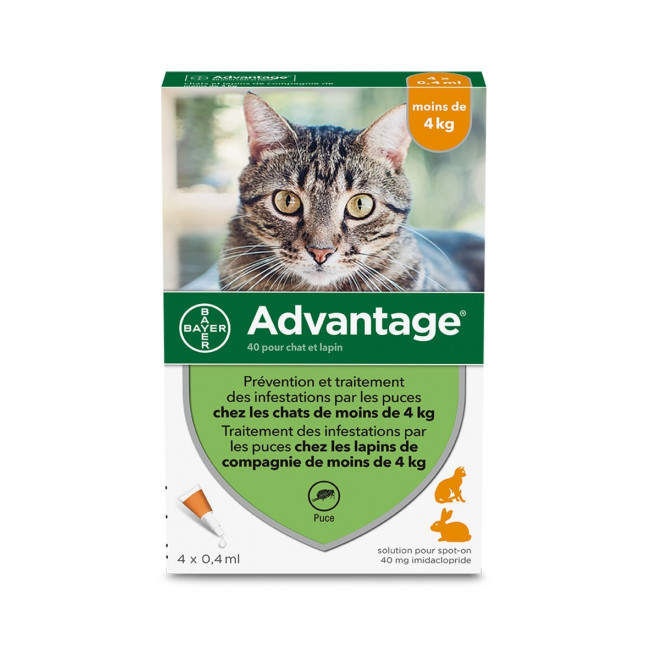 Anti Puces Chat Advantage Polytrans