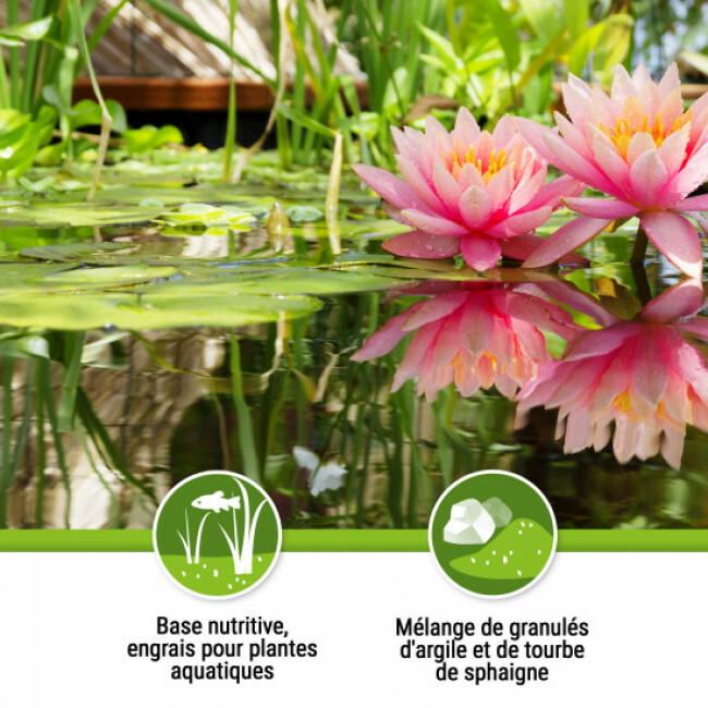 Tetra Pond AquaticCompost - Terreau Pour Plantes De Bassin, 4L, Nutriments Naturels