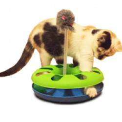 Jeu Pour Amuser Un Chat